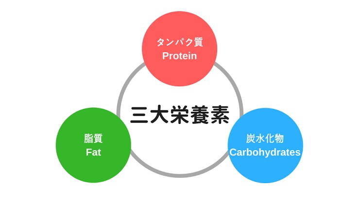 格安で筋トレ・食事管理のアドバイスします ボディメイクにお悩みの方。現役フィジーカーが相談に乗ります！ イメージ4