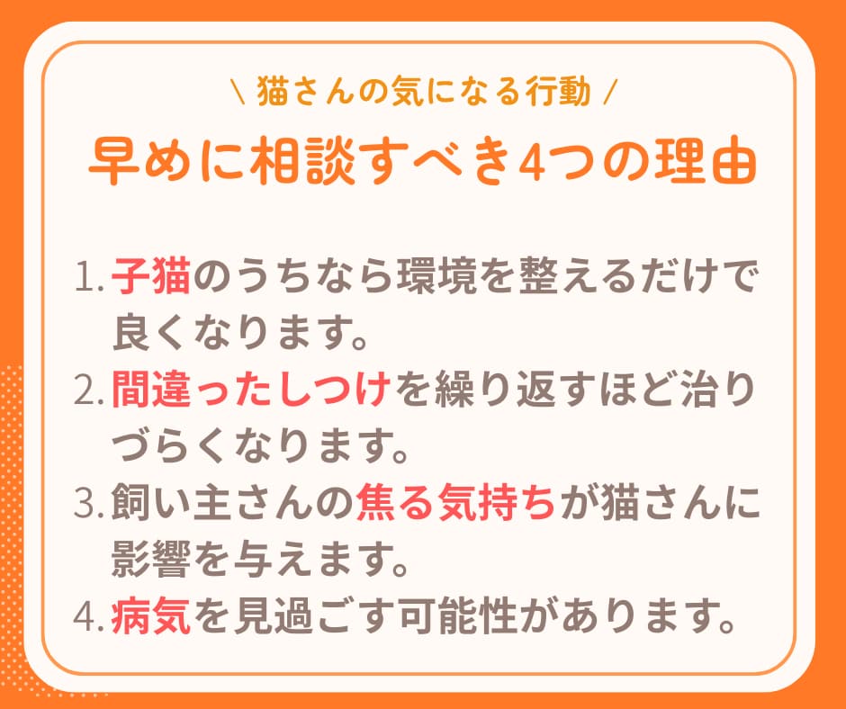 行動専門獣医師が猫の"困った行動"を解決します ★出品記念の為、初回3名まで最低価格でお受けします★ イメージ4