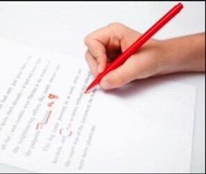1ヶ月間毎日長文添削！英語力+やり抜く力を育てます 受験生必見！英作文は秋からではなく夏から！周りと差をつける！ イメージ1