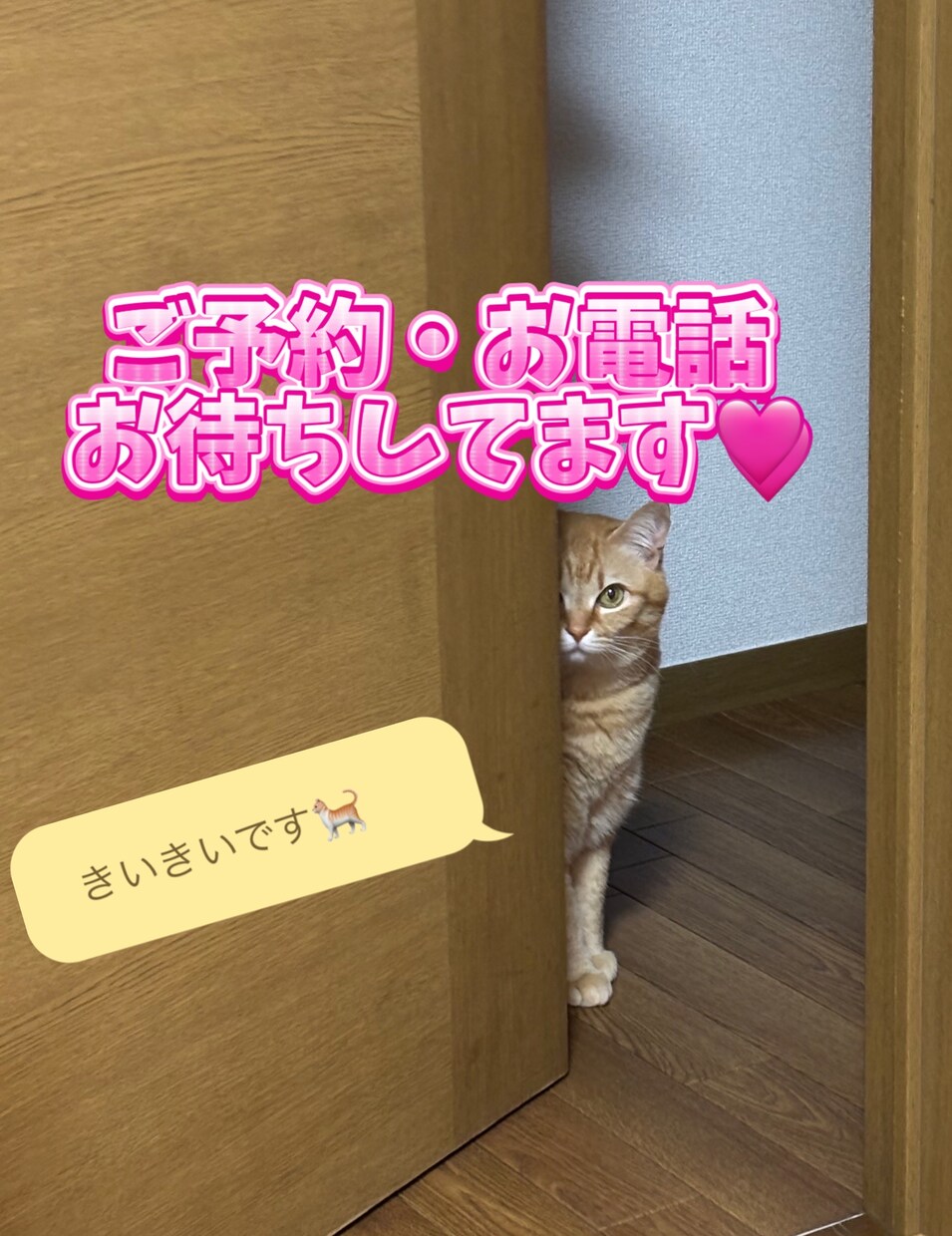 話したい、聞いてほしい☆あなたの味方になります 波瀾万丈な人生だよね☆と周りに言われる私が何でも聞きます イメージ1