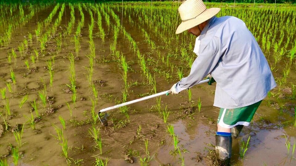 これから田舎暮らしをしたい方にアドバイスします 田舎暮らしに興味があり、情報を得ておきたい方へ。 イメージ2