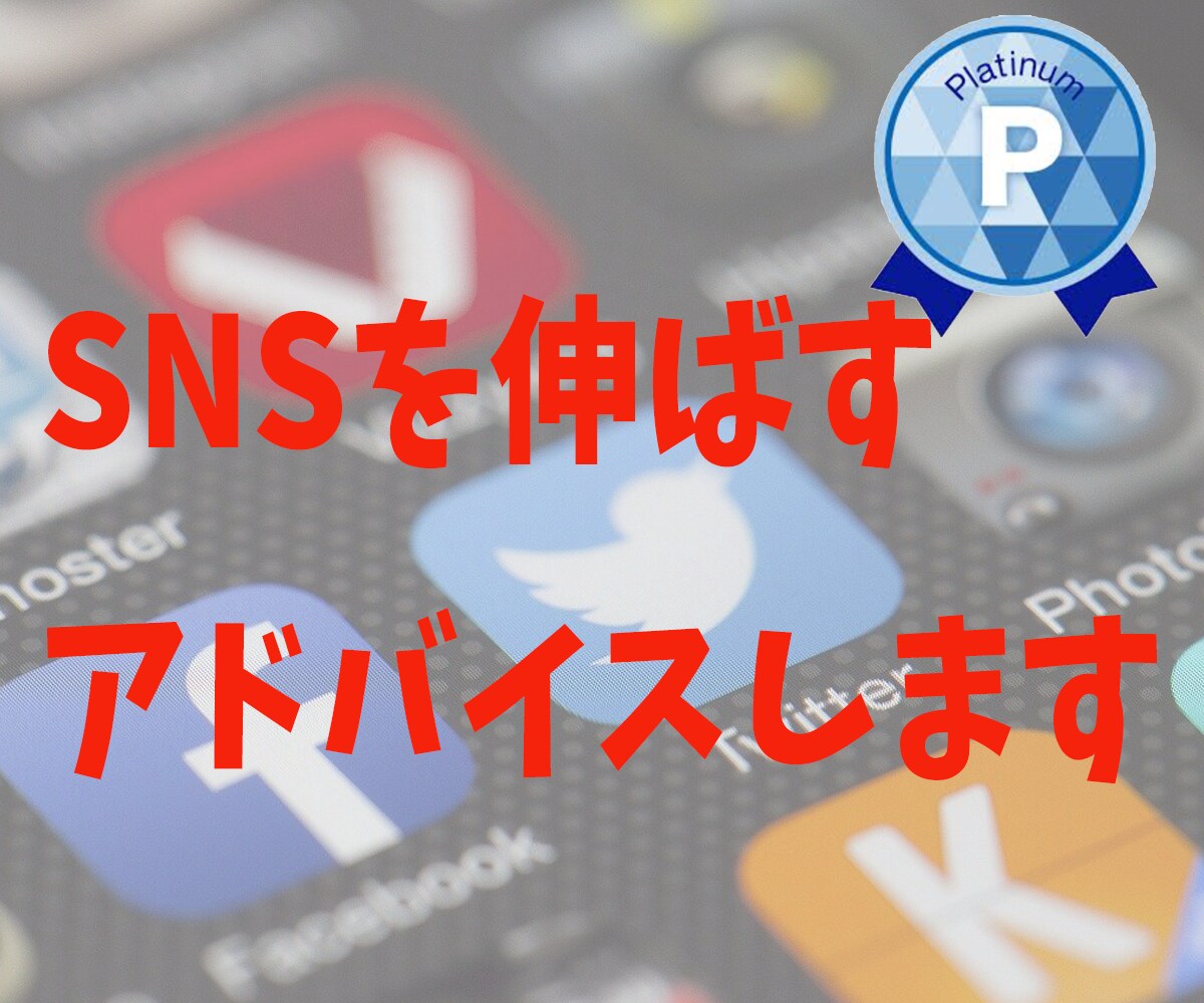 SNSに関するアドバイスお受けします プラチナランクの拡散屋があなたのSNSを育てる秘訣を教えます イメージ1
