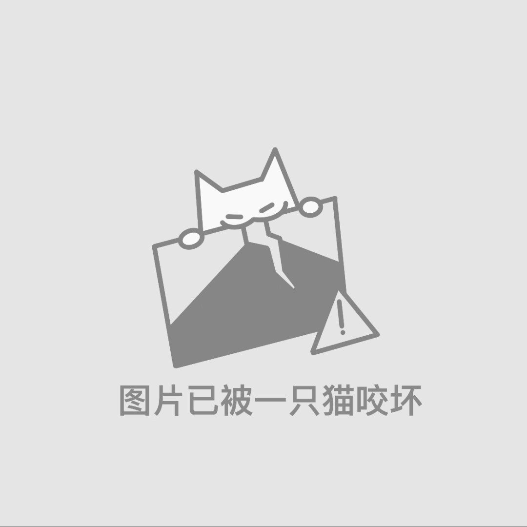 中国語翻訳、英語翻訳、文書翻訳などします。ます 高速翻訳、人間による翻訳します。 イメージ1
