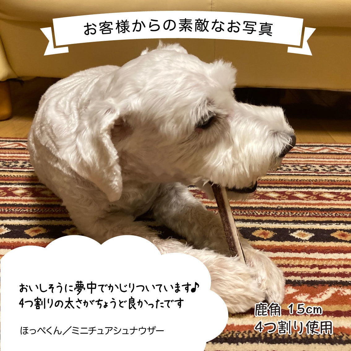 目的に合った商品画像・ロゴ・バナー制作します ココナラ初心者歓迎！これからWebの素材が必要な方へ！ イメージ7