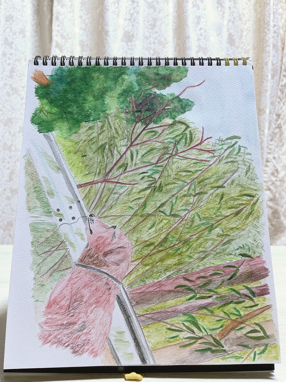 大切な貴方の家族を癒される絵にします 飼われている、ペットの絵を描かせて頂きます！ イメージ2