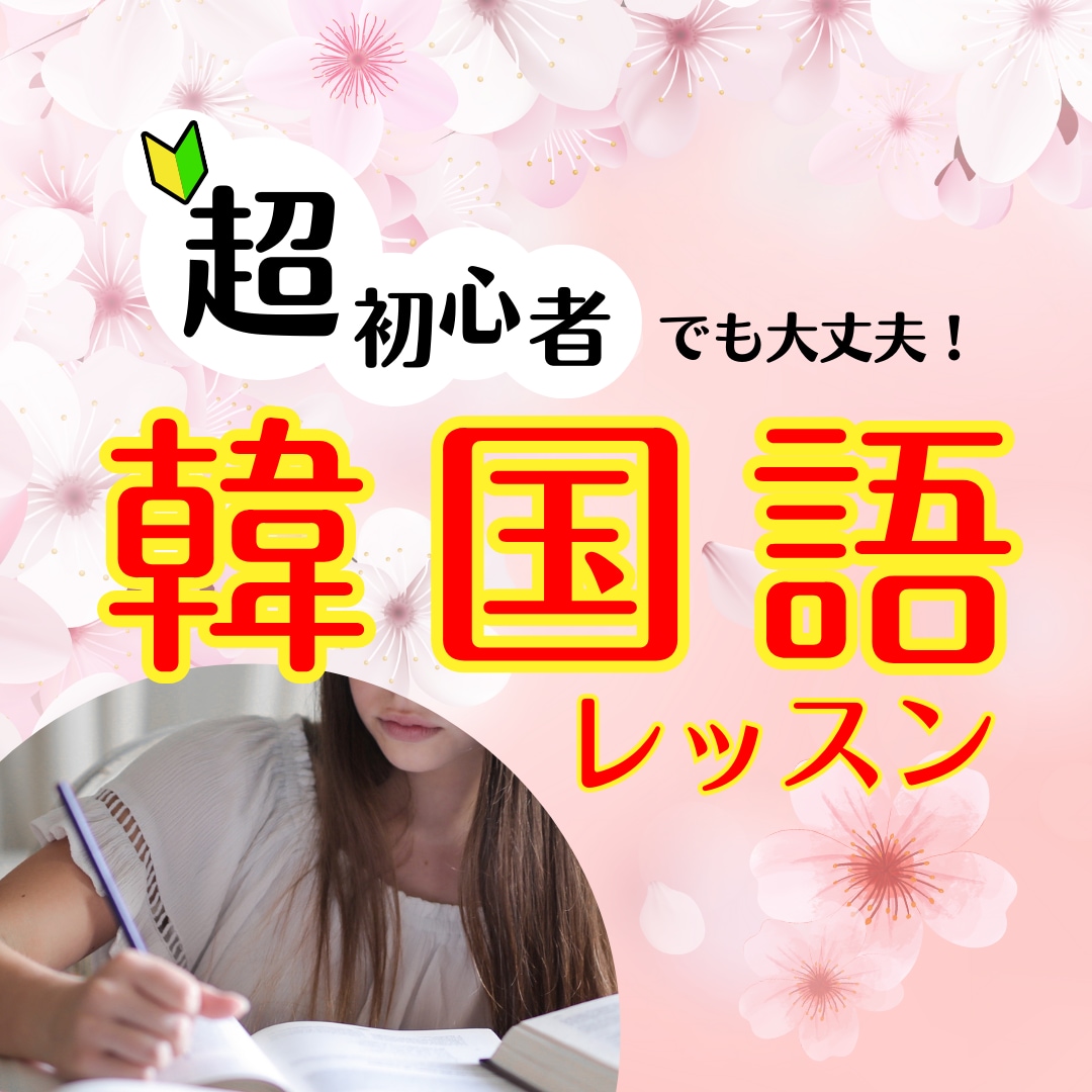 超初心者でも大丈夫！韓国語レッスンいたします レベルに合わせた語彙・文法中心のレッスン(50分) イメージ1