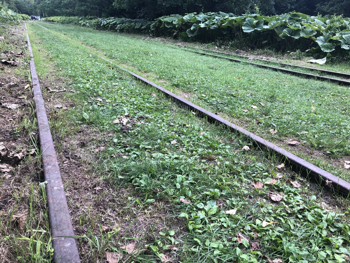 今までに行った廃線、廃墟オススメします 実際行って良かった、感動した場所オススメします。 イメージ1