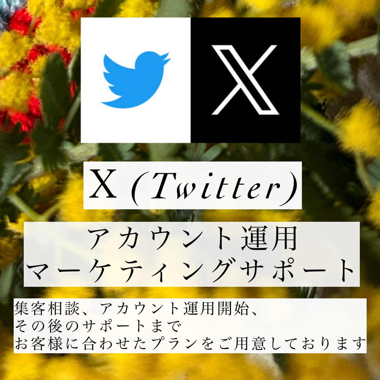 Ｘ・Twitterでマーケティングをサポートします 運用代行から集客アドバイスまで幅広くサポートします！ イメージ1