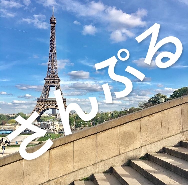 パリのインスタ映えスポットを紹介致します 楽しい旅行を写真に残しませんか？ イメージ2