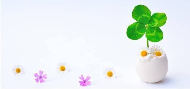 話し相手になります 友達のように気軽に話せたら…！是非どうぞ♪ イメージ2