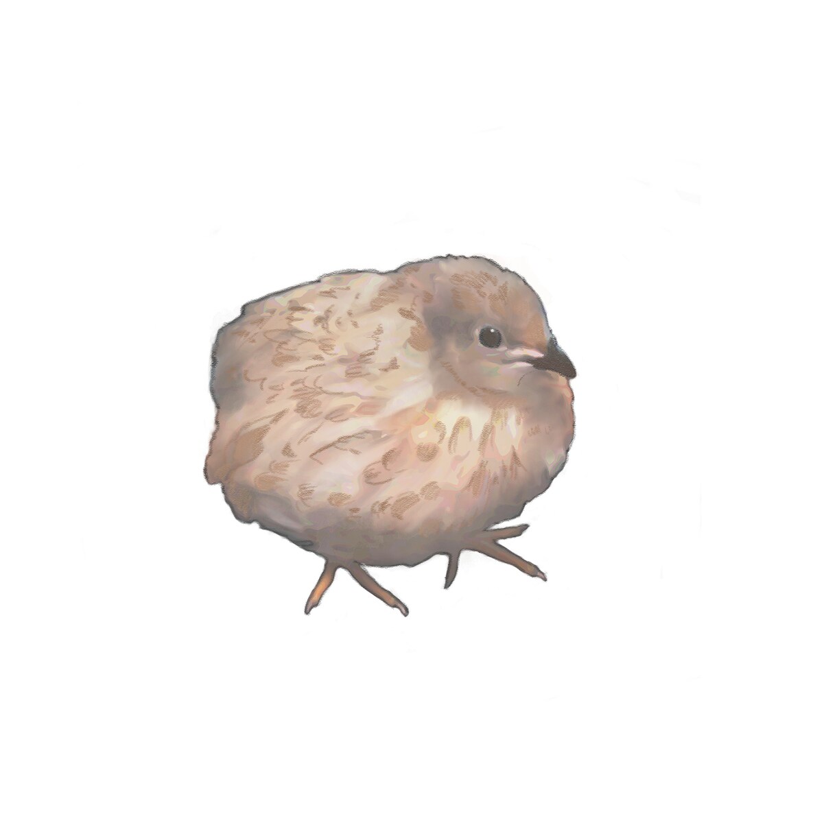 動物のご家族にがおえを作成します 完成画像でオリジナルグッズ、LINEスタンプ作れます！ イメージ4