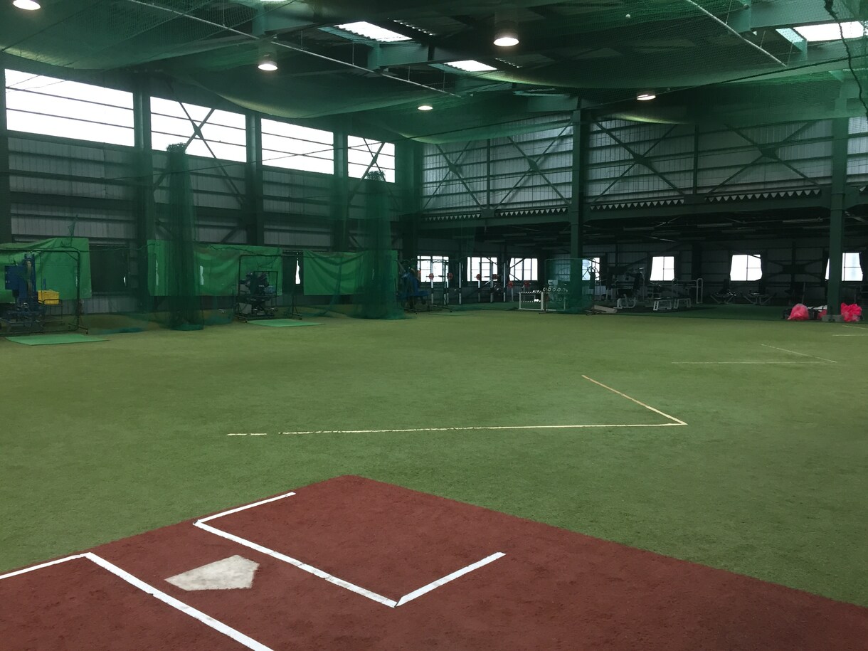 野球上達のためのトレーニング、食事の指導をします (年齢、目標に合わせた指導を) イメージ1