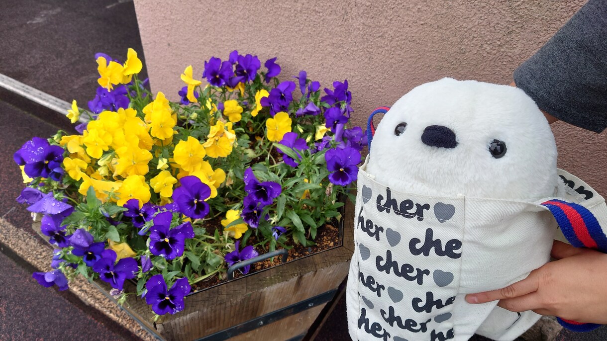 今すぐOK♥️アナタの嬉しい気持ちをシェアします 小さな幸せを今すぐ共有シマしょ♥️ イメージ3