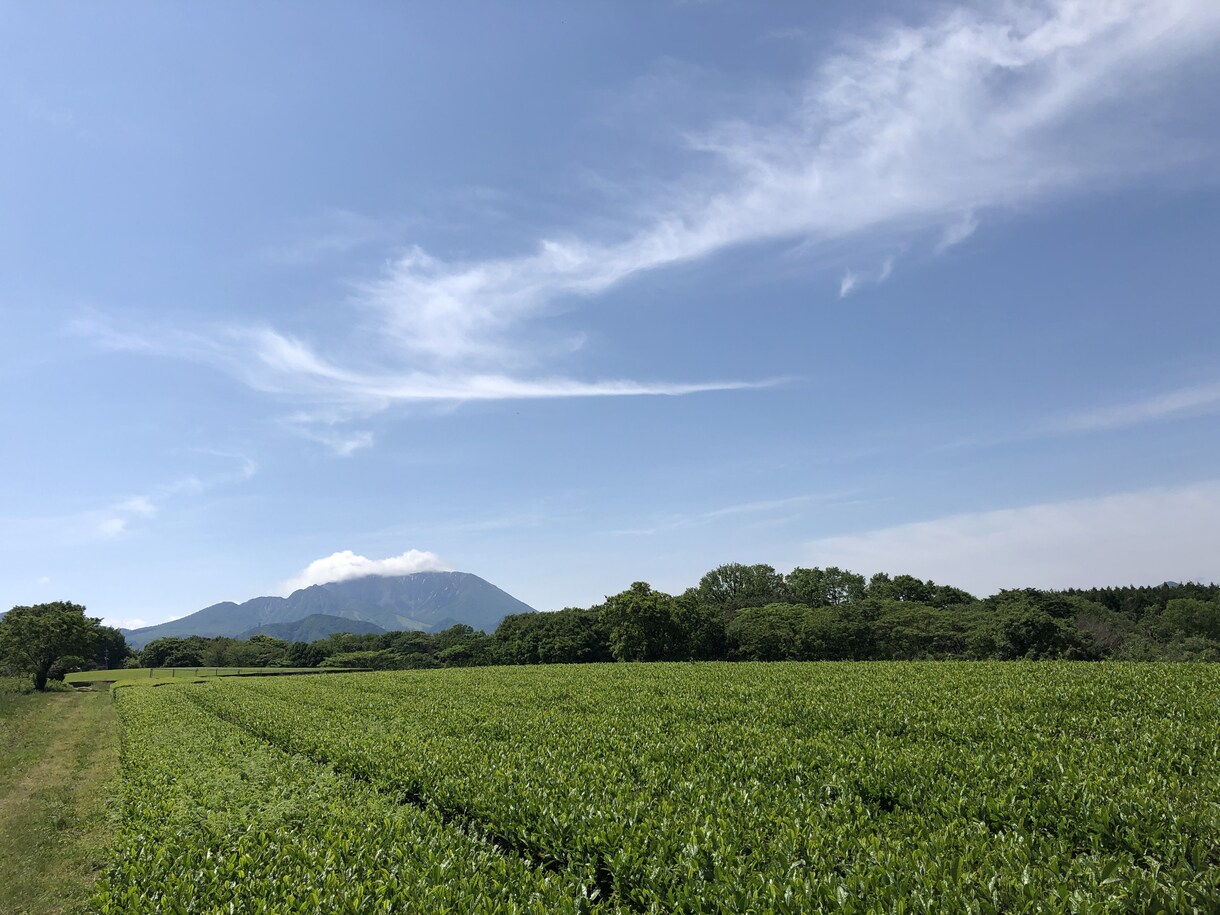 幸運引き寄せ★霊感タロットで2人の未来を占います アイドルのママプロデューサー★彼の気持ち★霊感★10分〜OK イメージ7