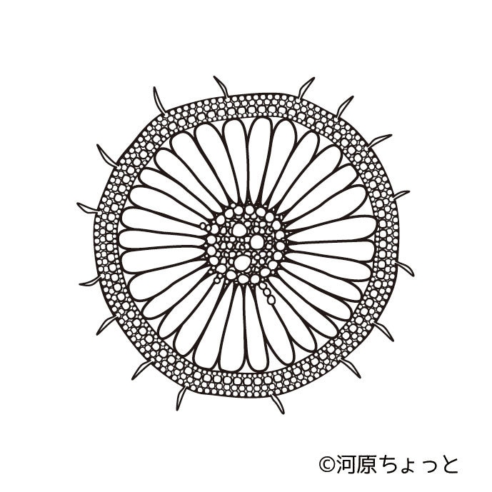 図版を制作いたします ★★★カチッとしたわかりやすい図版を制作します★★★ イメージ3