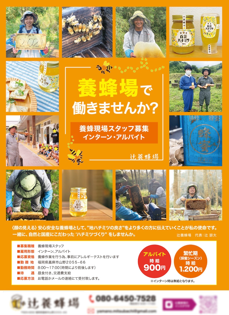 アルバイト・求人募集のチラシ制作いたします 視認性を意識したデザインで思わず応募したくなる求人広告！ イメージ3