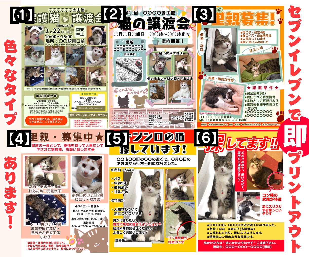 譲渡会・迷子・里親探し・の貼り紙作ります 近隣のセブンイレブンでプリントアウト出来る手配を致します！ イメージ4