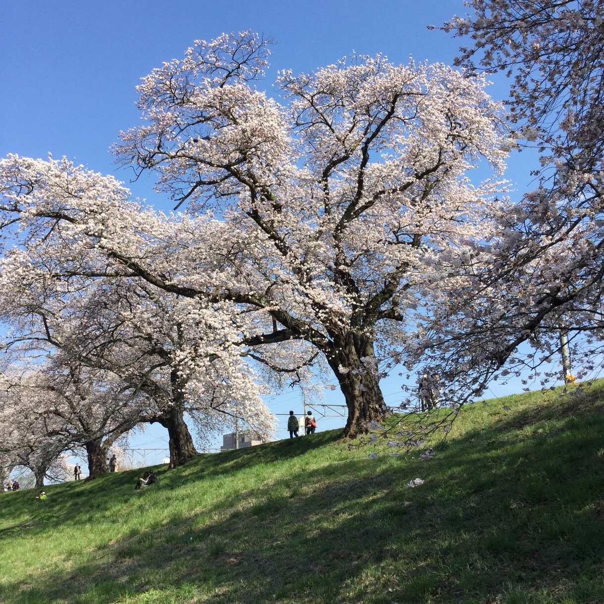 癒しボイスで心のモヤモヤを解消します ちょぴっとだけでも大丈夫ですよ〜♪ イメージ4