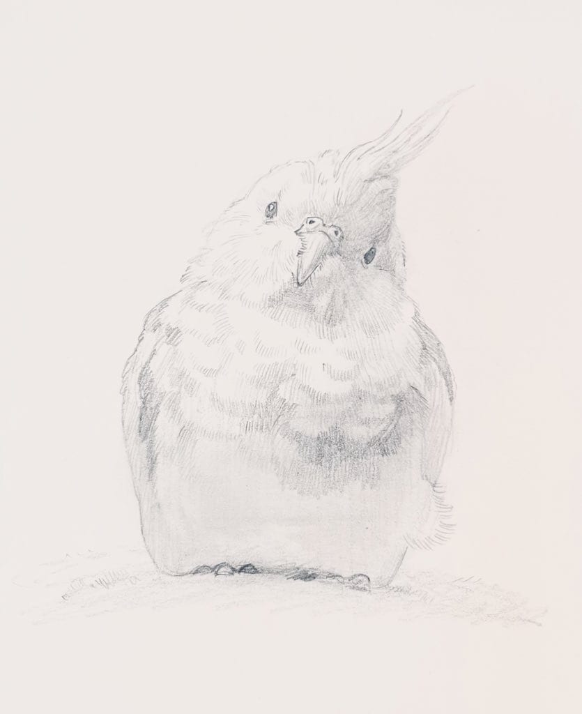 ペットの似顔絵を手描き原画で制作します お写真をもとに、ハガキサイズのペット肖像画を制作いたします。 イメージ6