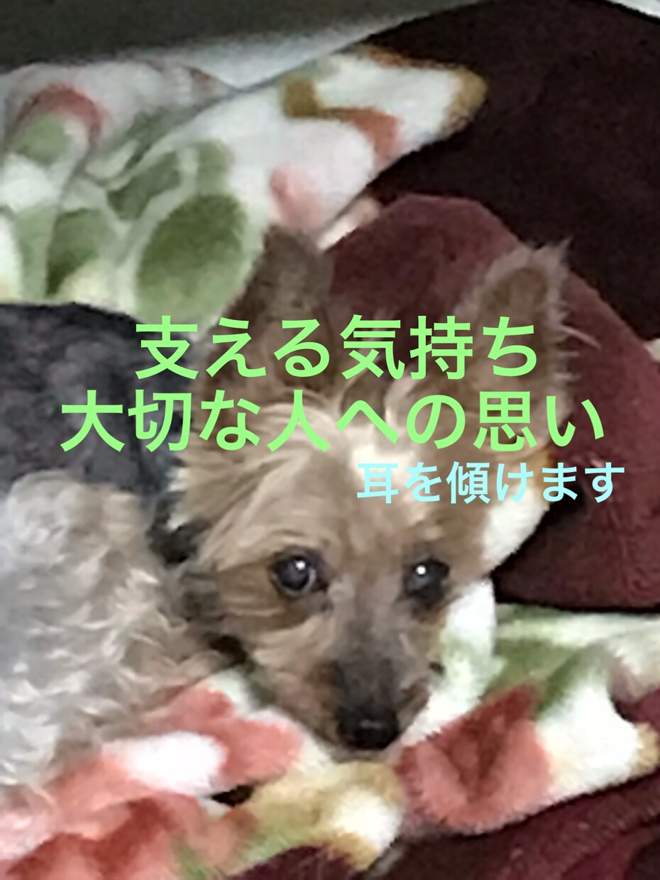 鬱闘病中の方などの家族の方々のお悩み伺います 家族サポートは大切で大変な事です！ イメージ1
