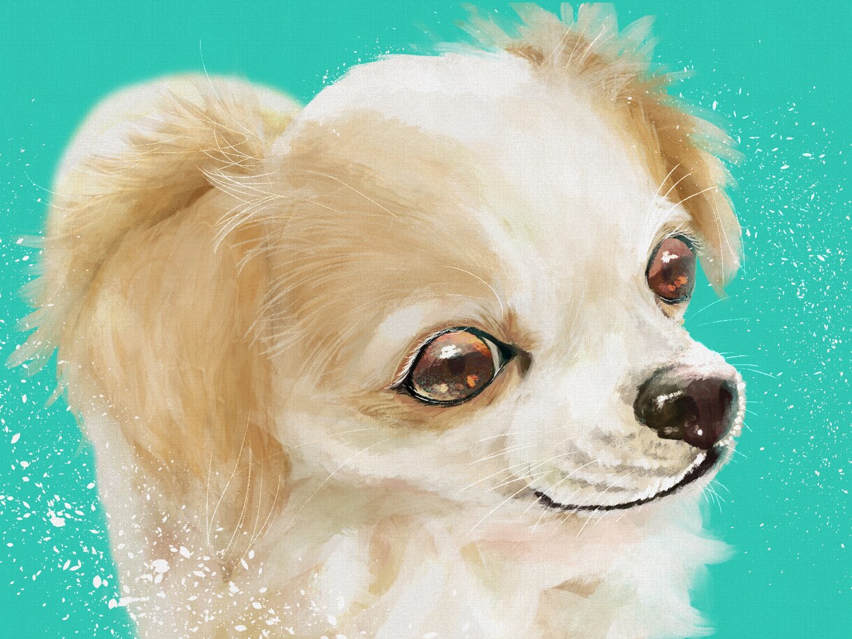あなたの大切なペットをポップなイラストにします ペットイラスト・ワンちゃんやねこちゃんを一枚絵に イメージ6