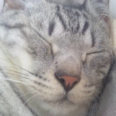 CMBトレーニングを行います 心と体のバランスを整えます♪♪ イメージ1