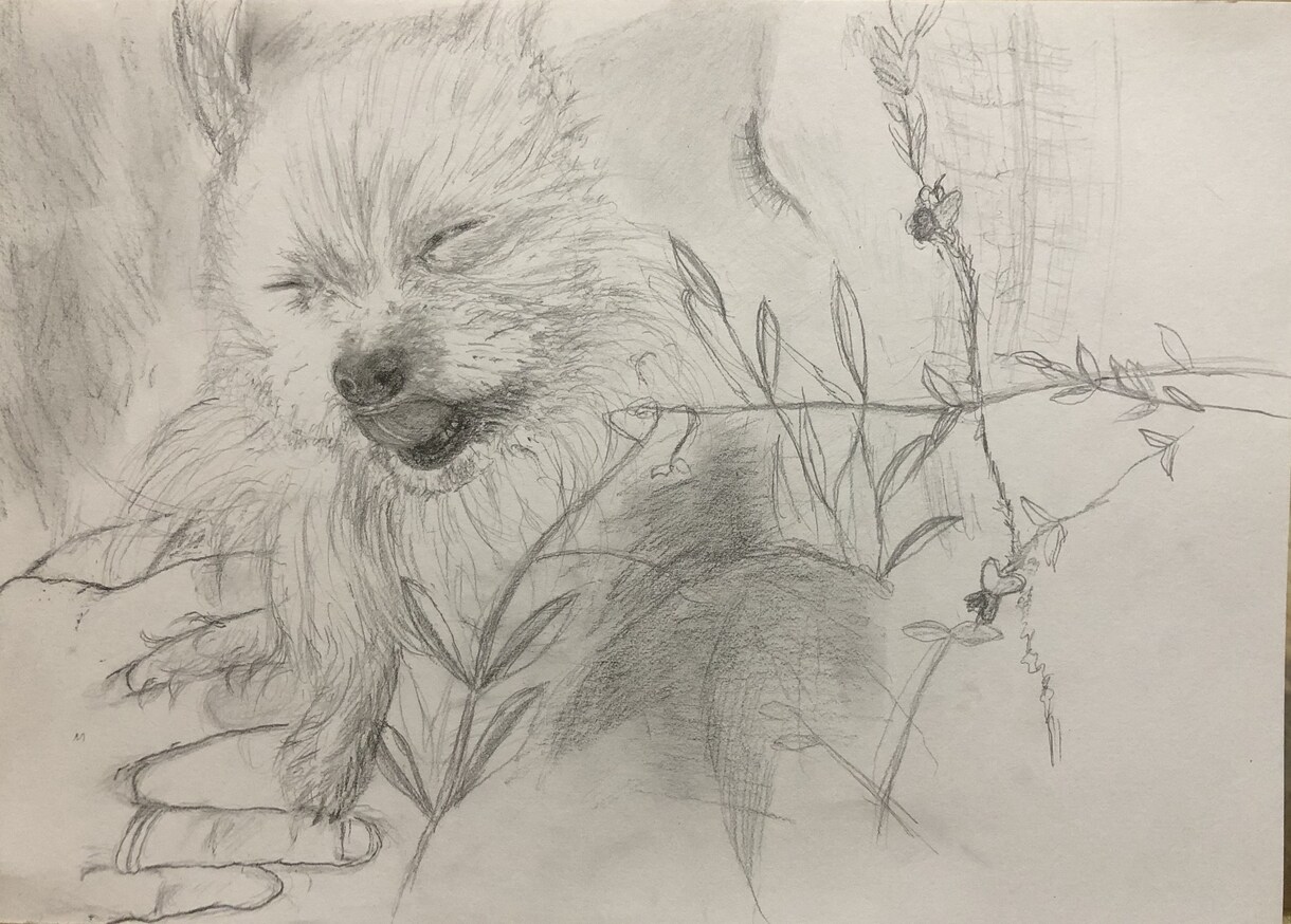 愛しいわんこさんの日常描きます 一緒にいた心地よい光景を描かせて頂きます。心に触れる絵 イメージ6