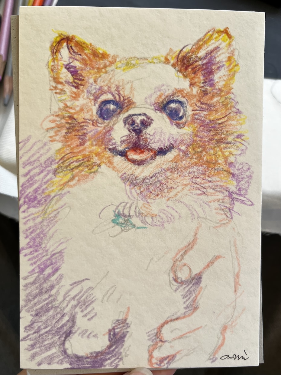 色鉛筆でペットの似顔絵ポストカード制作します 色鉛筆で雰囲気のある色味の似顔絵を描きます！ イメージ10
