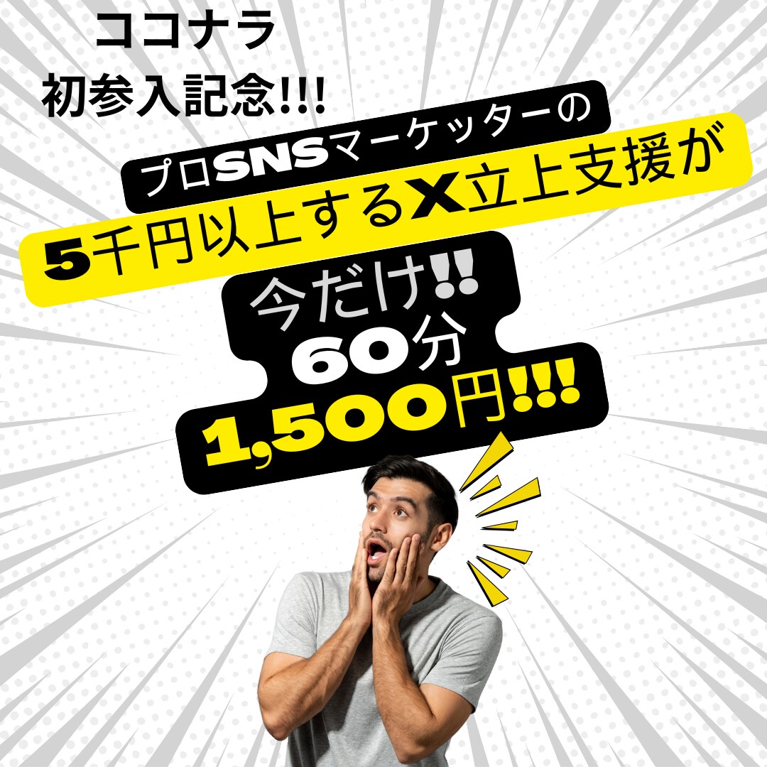 ココナラ初参入記念大幅割引！X立ち上げ伴走します ビデオチャットでXアカウント立ち上げ支援と運用指南します イメージ1