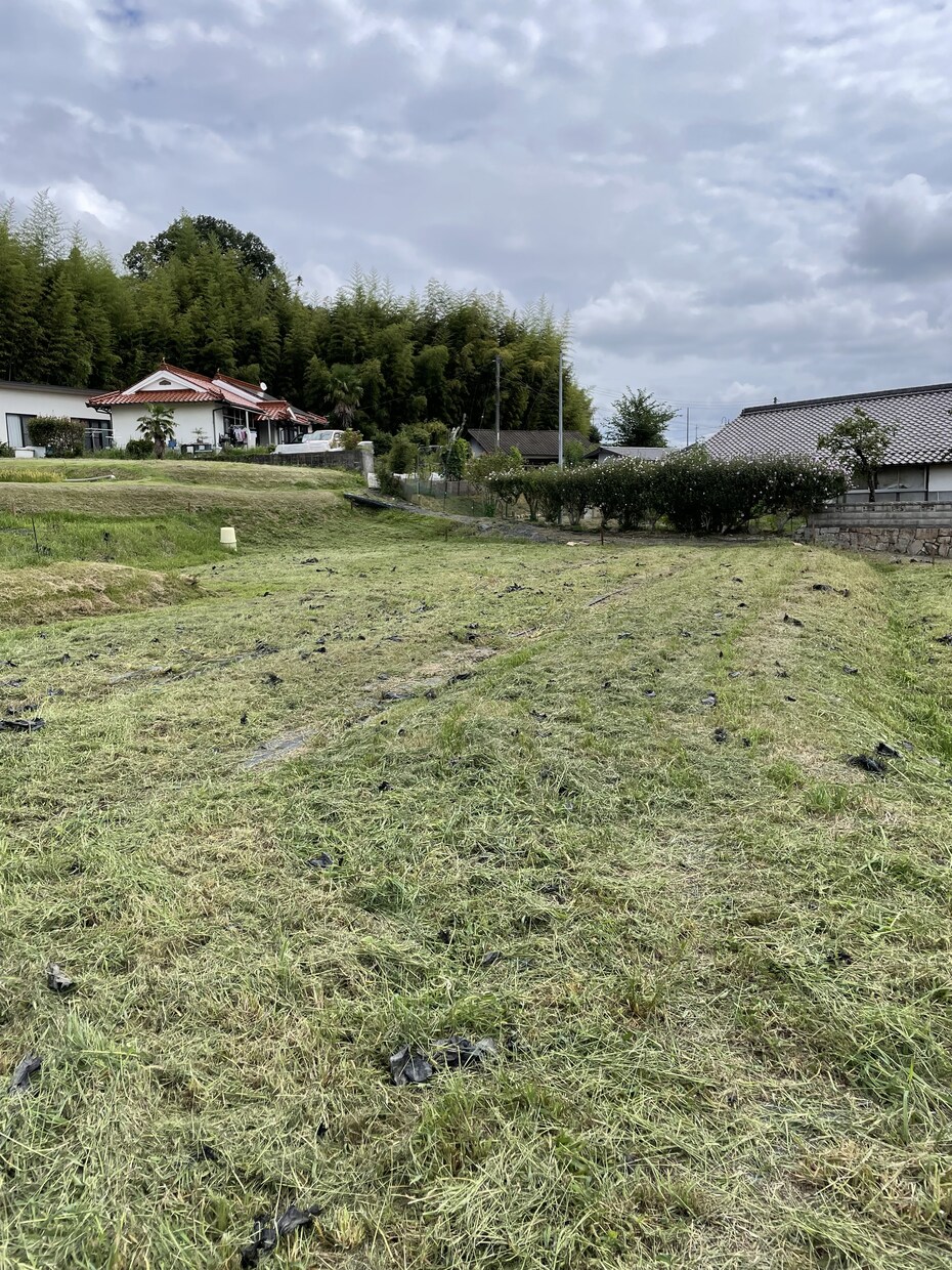 お家に関する代行業務を行います 草刈りお墓参り代行などを行います！！ イメージ2