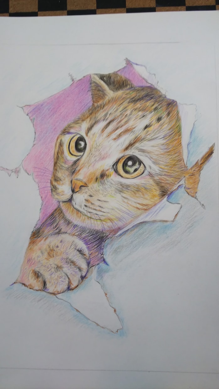 色鉛筆で動物画、人物も描きます 記念品として、遺影として飾りたい方 イメージ8