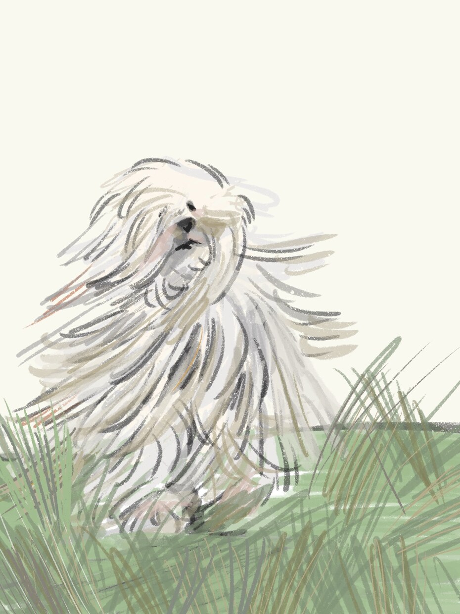 あなたのペットの似顔絵をお作りします おうちの見えるところに飾っていつでも一緒♪ イメージ8