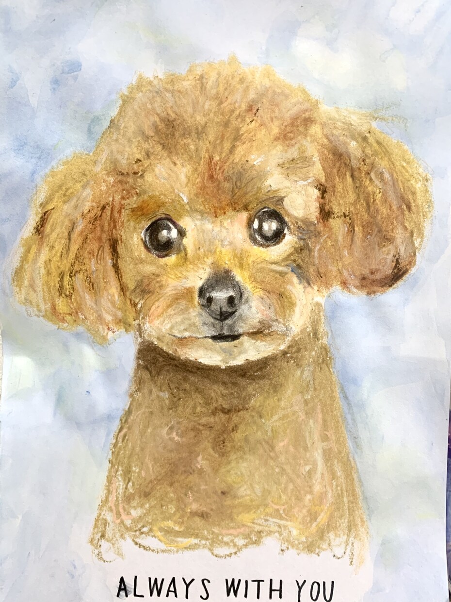 ハガキサイズのペット似顔絵をお届けします 飾りやすく、贈りやすい。大切な“うちの子”をやさしく描きます イメージ10