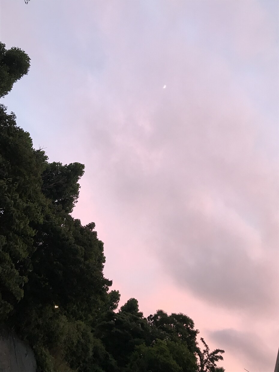 今日より明日を少しでも穏やかに、心の浄化いたします 恋愛や家庭の悩みを吐き出してください イメージ1