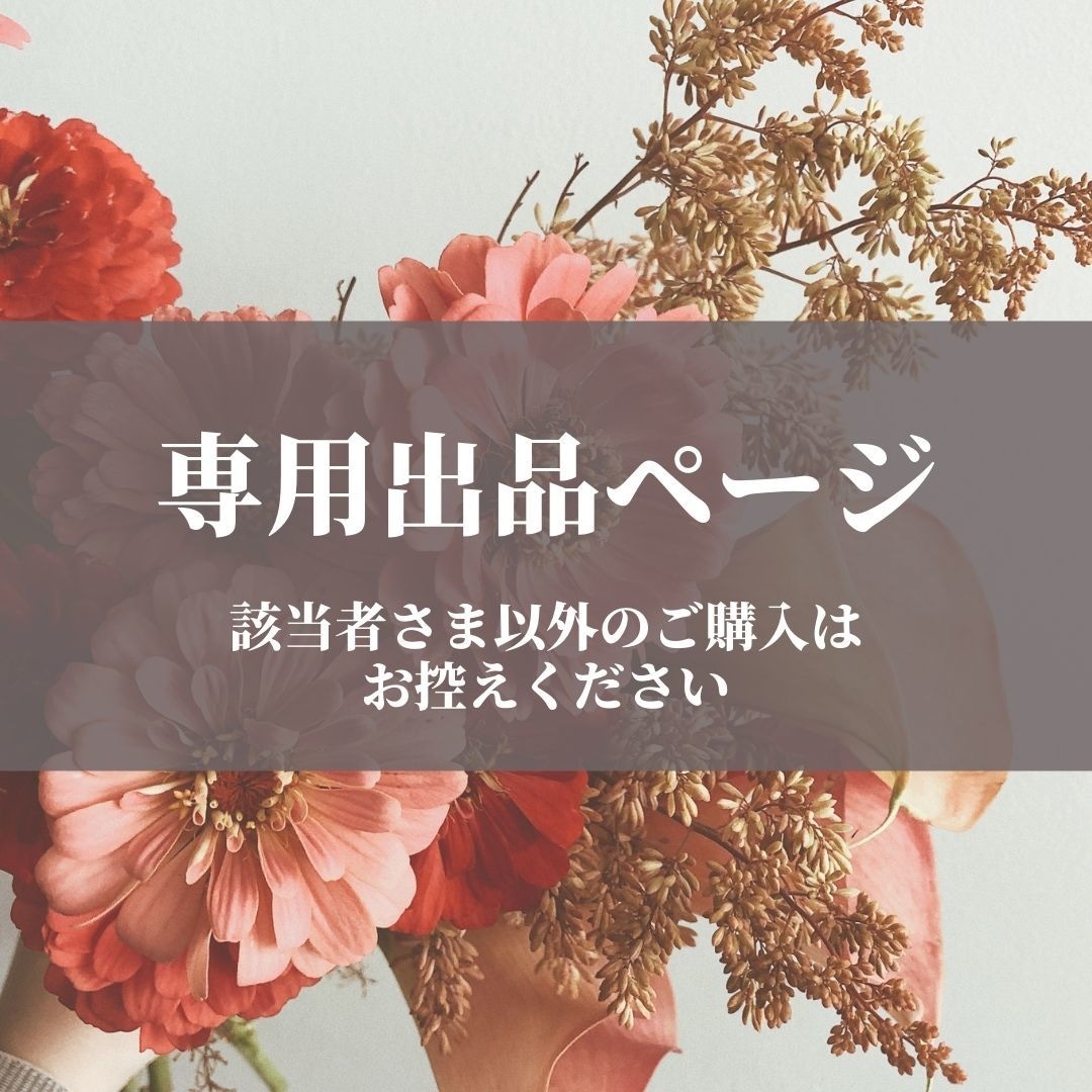 売上実績NO.1 2024年最新】ikumi ikumin様 Sakaguchi - ご相談ページ