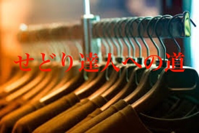 12年せどりを行ってきた私のスキルの全てを教えます 様々な教材を買い、行ってきたせどり・転売方法を全て詰めてます イメージ1