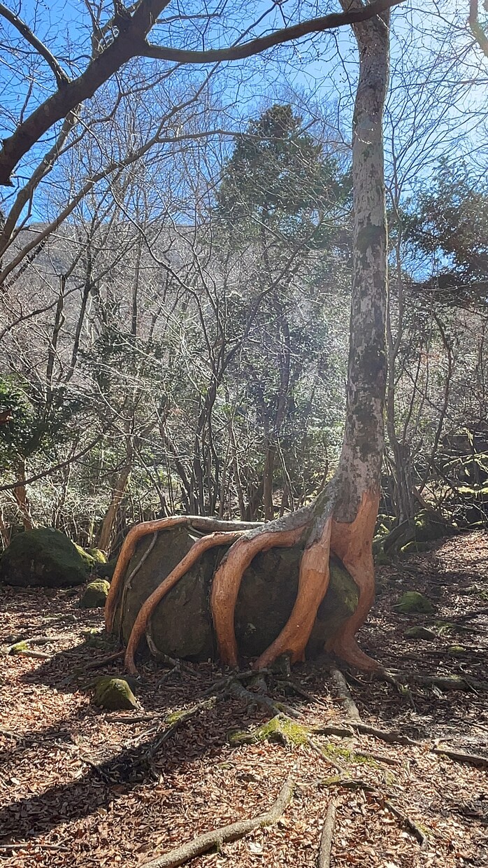 自然風景の写真素材提供になります なかなか行けない素敵な自然風景を撮影し写真素材提供致します イメージ6