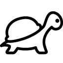 亀（カメ）を飼ってみたい方にアドバイスします 飼育歴40年目の私が飼い方などの不安に丁寧に対応します イメージ1