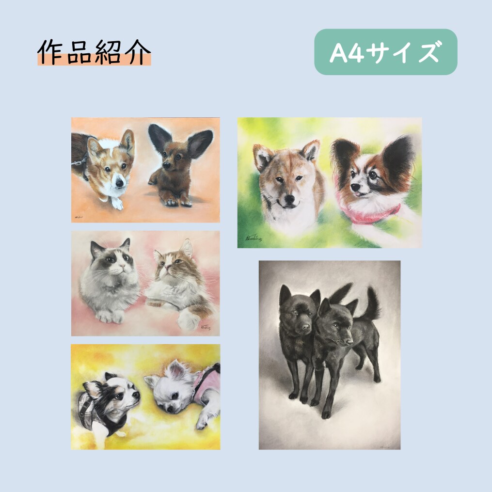 原画をご提供！リアルなペットのパステル画を描きます A5サイズ〜大小様々なサイズに対応します。 イメージ6