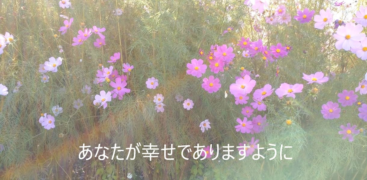 パニック障害の不安・悩み…経験ナースが寄り添います パニック発作/不安/気持ち/心/元看護師が受けとめます☘ イメージ6