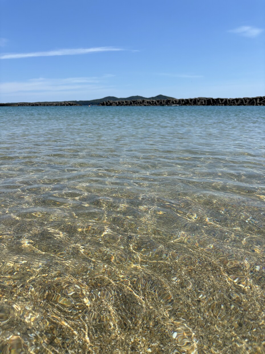 魅力がいっぱい★地元民が三重県のええとこ教えます 【唯一無二の三重旅プラン提案】三重いっぺんきてみ？最高やに！ イメージ3