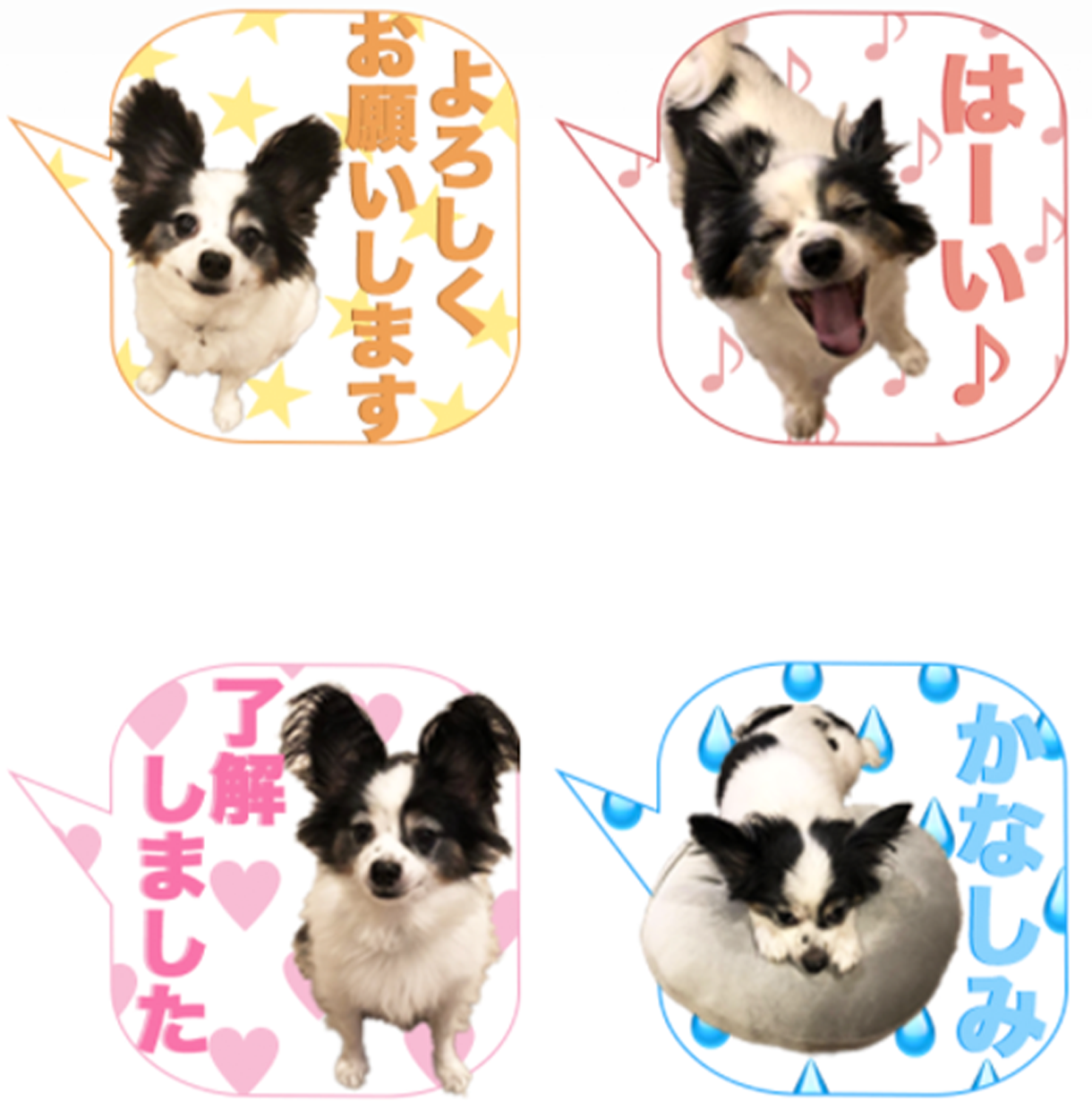 ペットやお子様のLINEスタンプをお作りします 【2000円〜】世界にたった一つのあなただけのスタンプ イメージ6