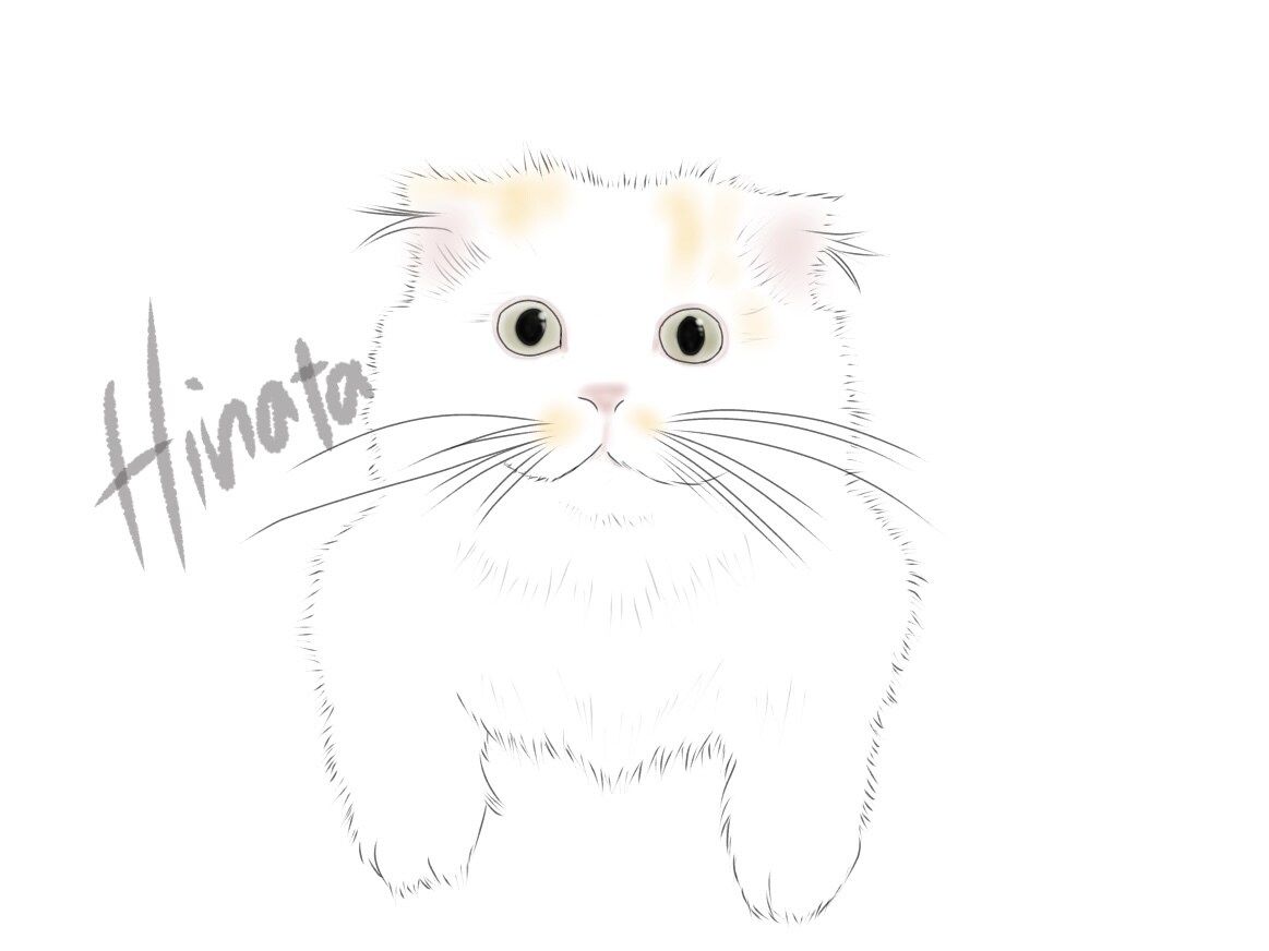 大切なペットの似顔絵描きます 写真を模写し、柔らかい色を付けてお渡しします。 イメージ6