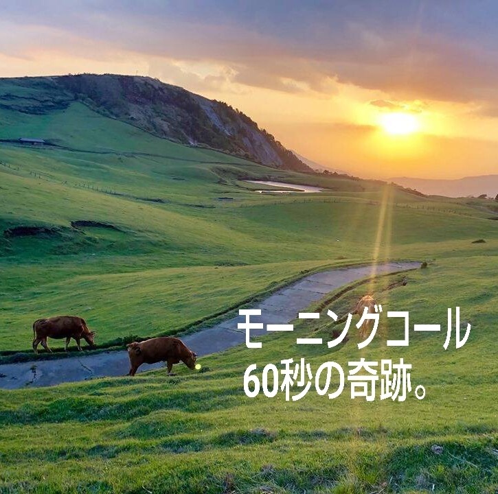 女性限定：癒しと勇気づけのモーニングコールをします 100日で夢を叶えたい貴女様へ…未来の記憶を思い出させます。 イメージ4
