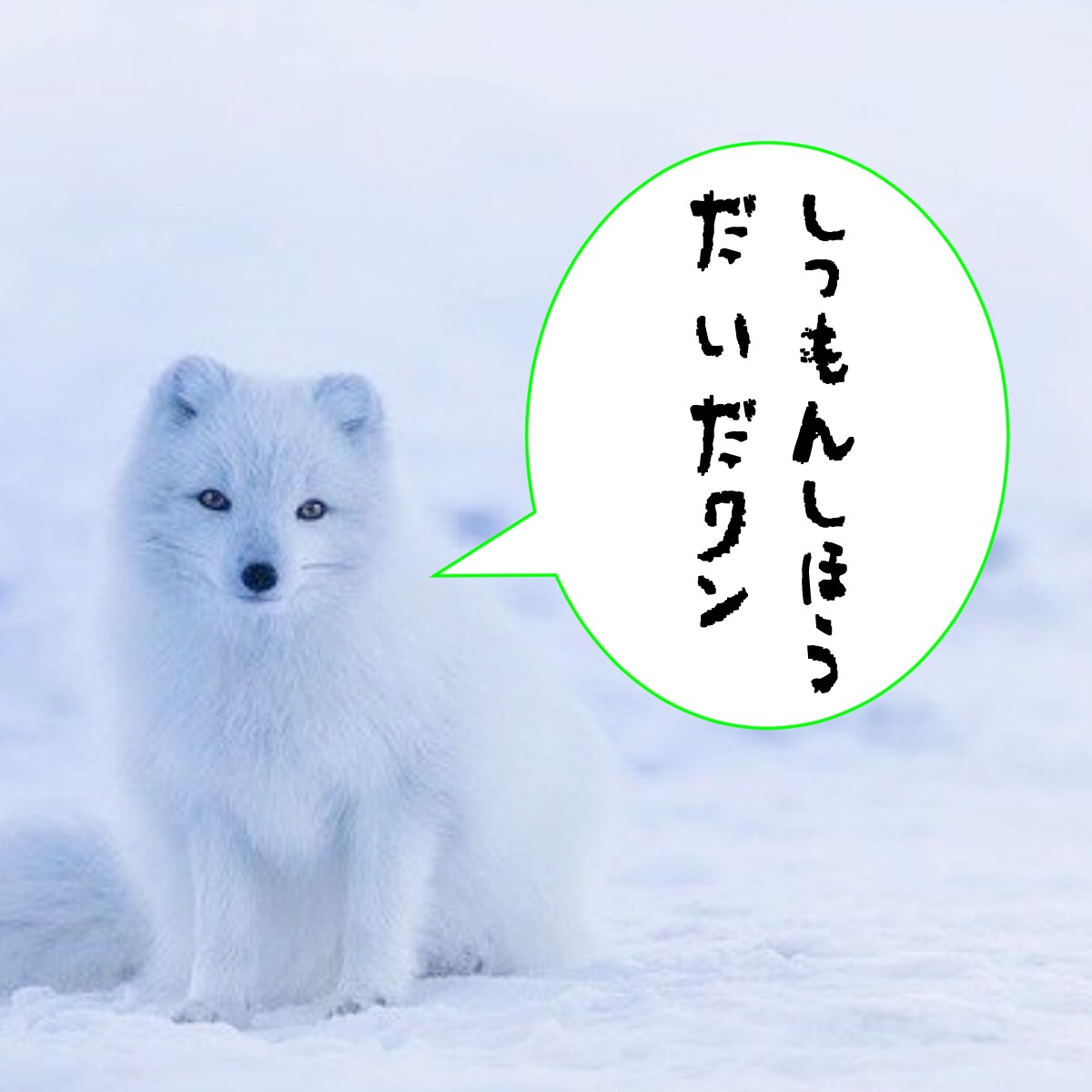 一週間質問し放題!霊感タロットで不安を取り除きます 毎日の悩みや迷いをお気軽に相談!寄り添い鑑定で徹底サポート! イメージ4