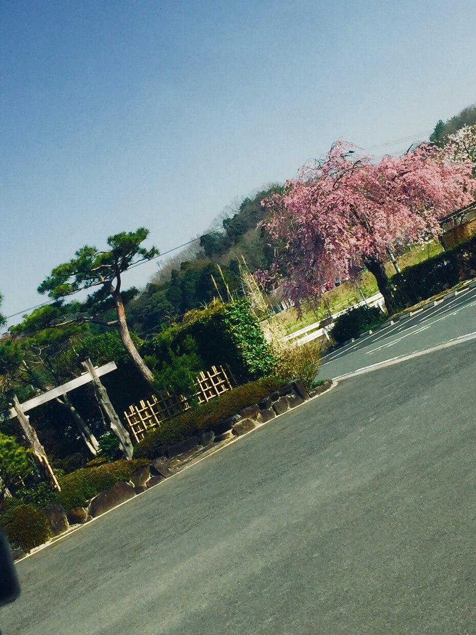 主に風景写真を提供します 田舎での撮影ですので、自然を感じる写真を提供させて頂きます イメージ5