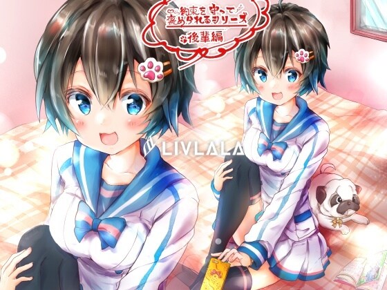 魅力的で多機能なイラスト描けます Live2D用イラストやゲームイラスト、表紙にも！ イメージ9