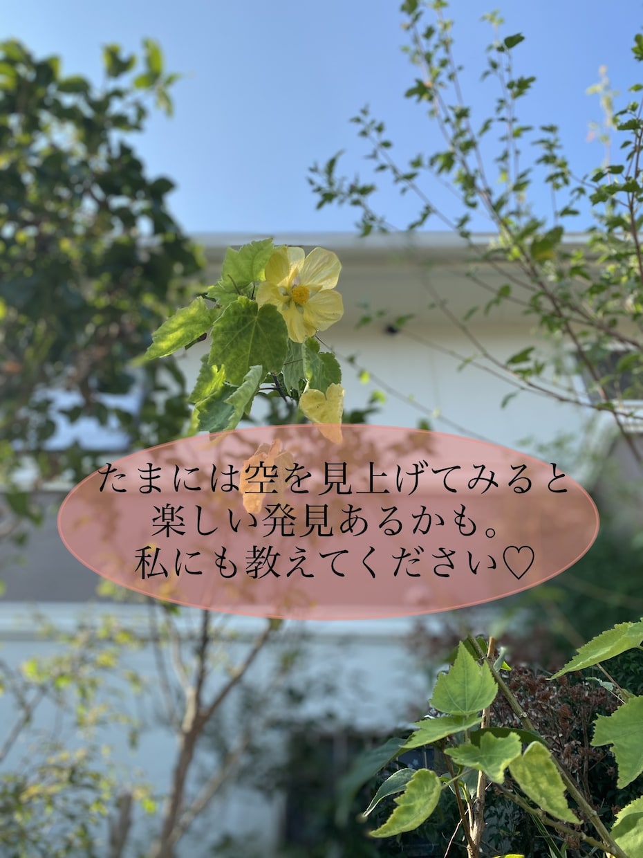 あなたの楽しいを一緒に発見します 人生一度きりだから自分自身を大切にしてほしい イメージ3