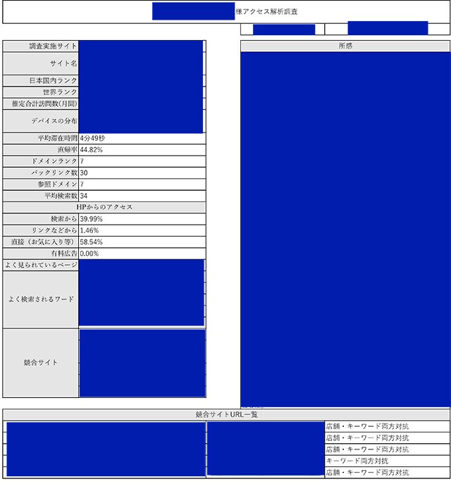 最新技術でホームページのアクセス解析を致します GoogleAnalytics不要！URLだけで診断します！ イメージ2