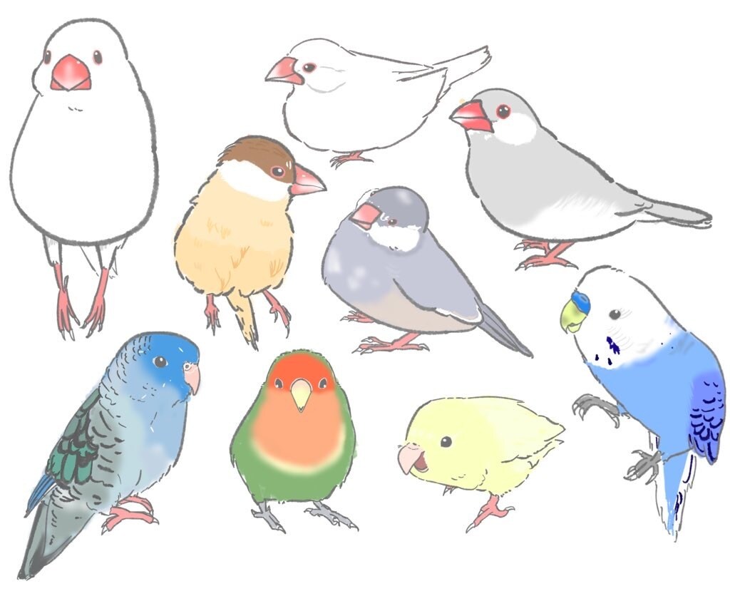 アイコンやヘッダーにつかえます あなたのお家の愛鳥さん描きます イメージ1